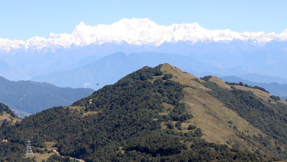 तिनजुरे क्षेत्रमा राष्ट्रिय लालीगुराँस पार्क निर्माण हुने